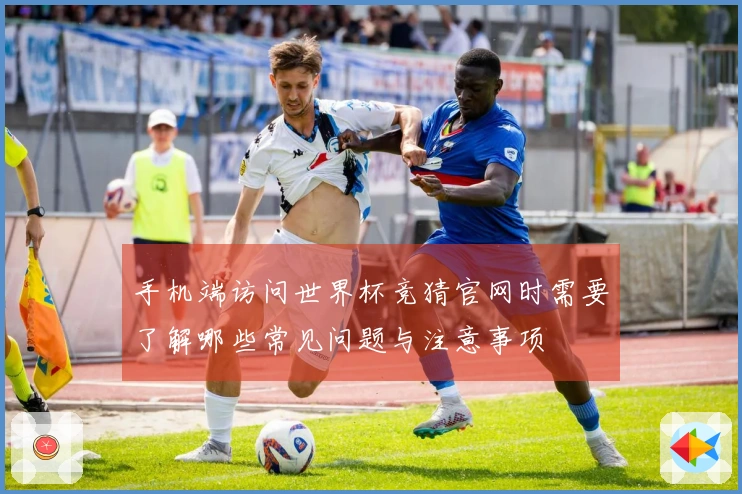 手机端访问世界杯竞猜官网时需要了解哪些常见问题与注意事项