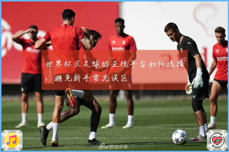 世界杯买足球的正规平台如何选择，避免新手常见误区