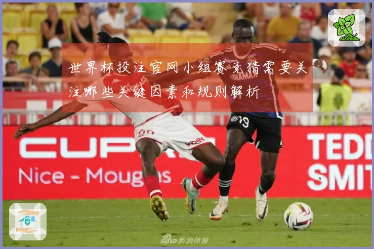 世界杯投注官网小组赛竞猜需要关注哪些关键因素和规则解析