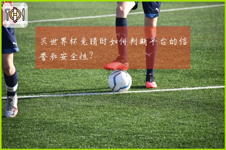 买世界杯竞猜时如何判断平台的信誉和安全性？
