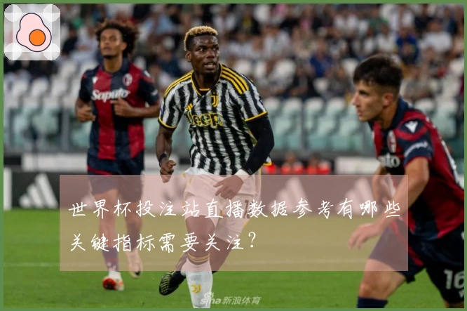 世界杯投注站直播数据参考有哪些关键指标需要关注？