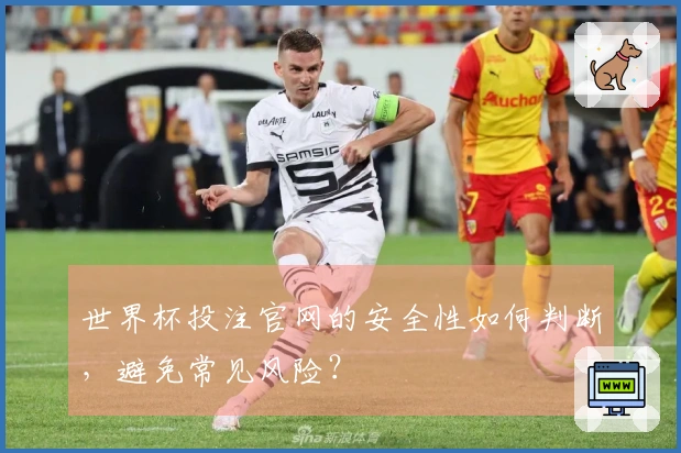 世界杯投注官网的安全性如何判断，避免常见风险？