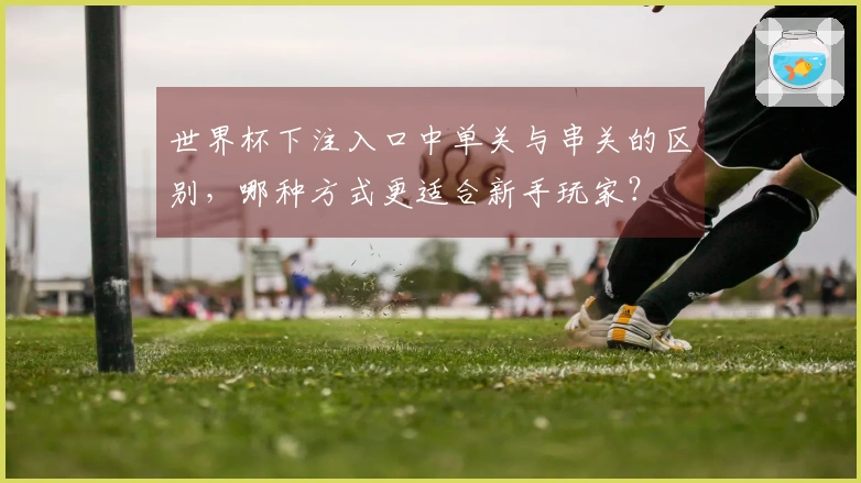 世界杯下注入口中单关与串关的区别，哪种方式更适合新手玩家？