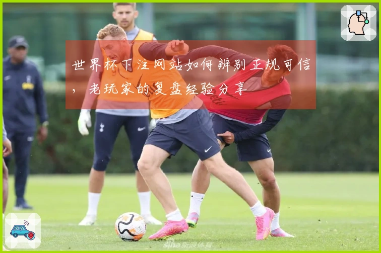 世界杯下注网站如何辨别正规可信，老玩家的复盘经验分享