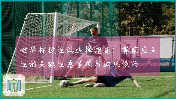 世界杯投注站选择指南：赛前应关注的关键注意事项与避坑技巧