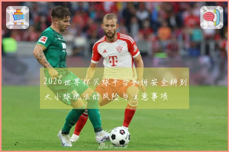 2026世界杯买球平台如何安全辨别大小球玩法的风险与注意事项