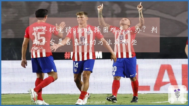 世界杯竞猜app选择困难怎么办？判断平台是否靠谱的方法有哪些