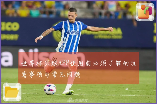 世界杯买球APP使用前必须了解的注意事项与常见问题
