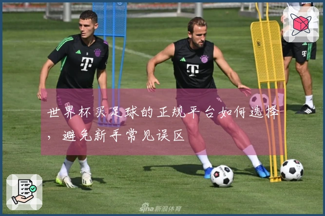 世界杯买足球的正规平台如何选择，避免新手常见误区