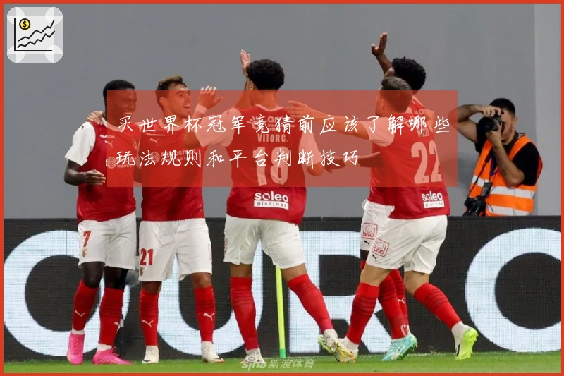 买世界杯冠军竞猜前应该了解哪些玩法规则和平台判断技巧